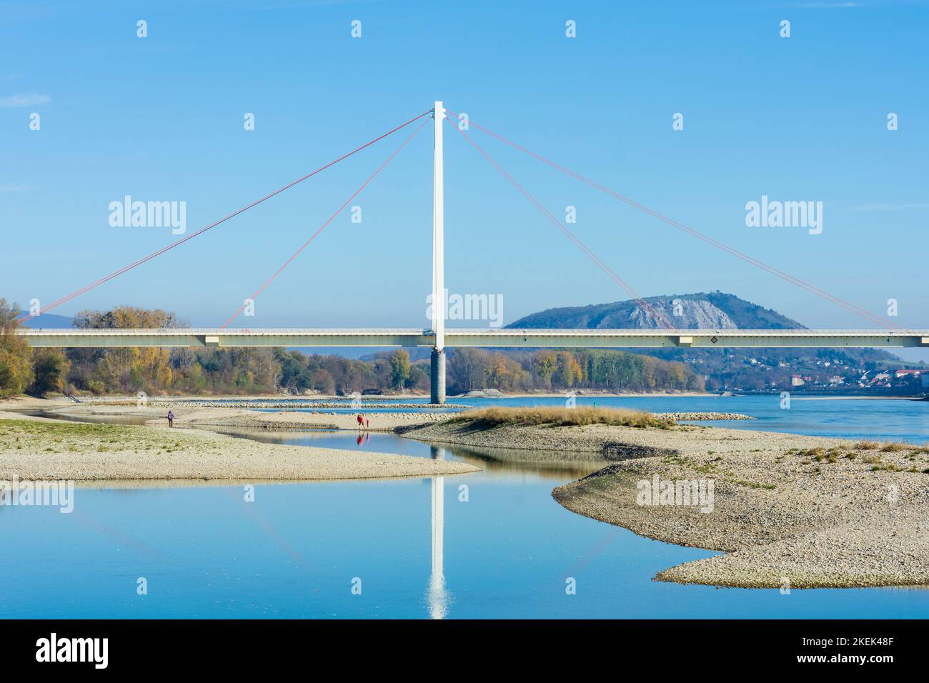 Parc national Donau-Auen, Parc national Danube-Auen : pont routier Andreas-Maurer-Brücke, rivière Donau (Danube), vue sur la montagne Braunsberg, proche de la nature Banque D'Images