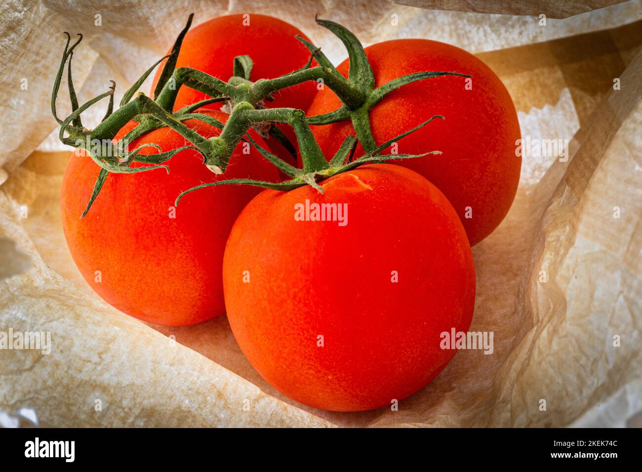 Tomates gros plan dans un sac de papier.gros plan de 4 tomates et de ses tiges vertes de cheveux Banque D'Images