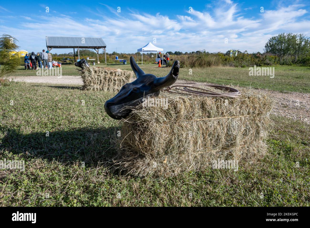 Balles de foin fixées avec des têtes de vache et une corde pour que les enfants puissent jouer dans un parc local. Houston, Texas, États-Unis. Banque D'Images