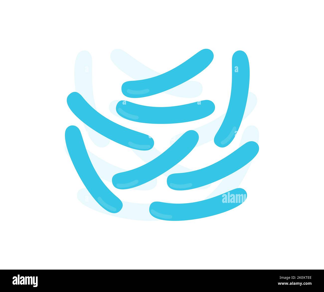 Logo Bifidobacterium ou lactobacillus microorganisme. Propionibacterium, lactobacillus, lactococcus, bifidobacterium, Streptococcus thermophilus Illustration de Vecteur