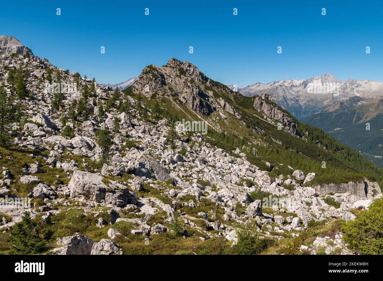 Paysage de montagne en été dans les Dolomites de l'Ouest (Dolomiti di Brenta) - Vallesinella - Madonna di Campiglio, Trentin-Haut-Adige, nord de l'Italie Banque D'Images