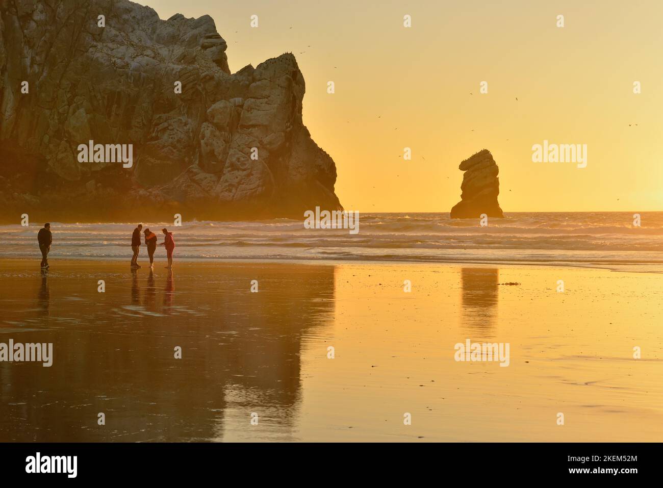 Beachcombers profiter du soleil en soirée sur la plage de Morro Bay, Morro Bay, Californie, Etats-Unis Banque D'Images