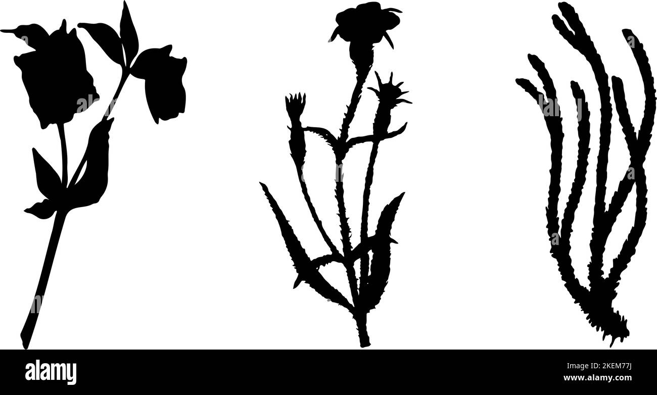 Collection de plantes, fleurs et herbes. Silhouettes noires de plantes. Illustration de Vecteur