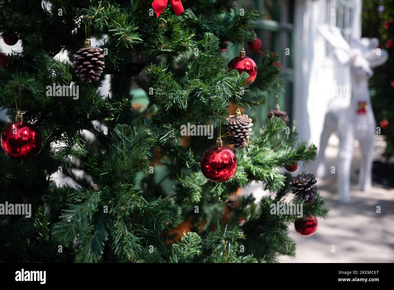 Sapin de Noël fermé décoré d'ornement, de boules rouges et de cônes de