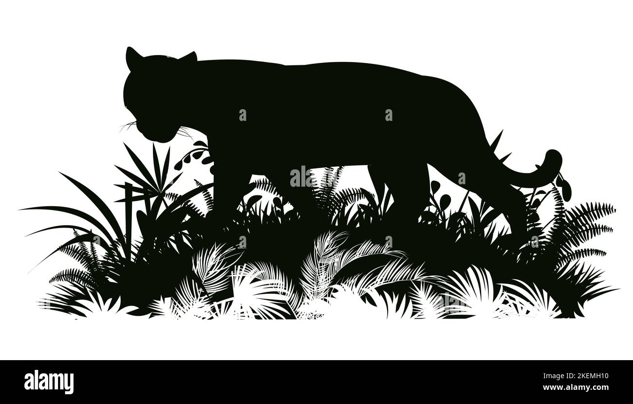 Predate Image Examples Lion bientôt disponible. Prédateurs animaux sauvages. Silhouette. Isolé ...