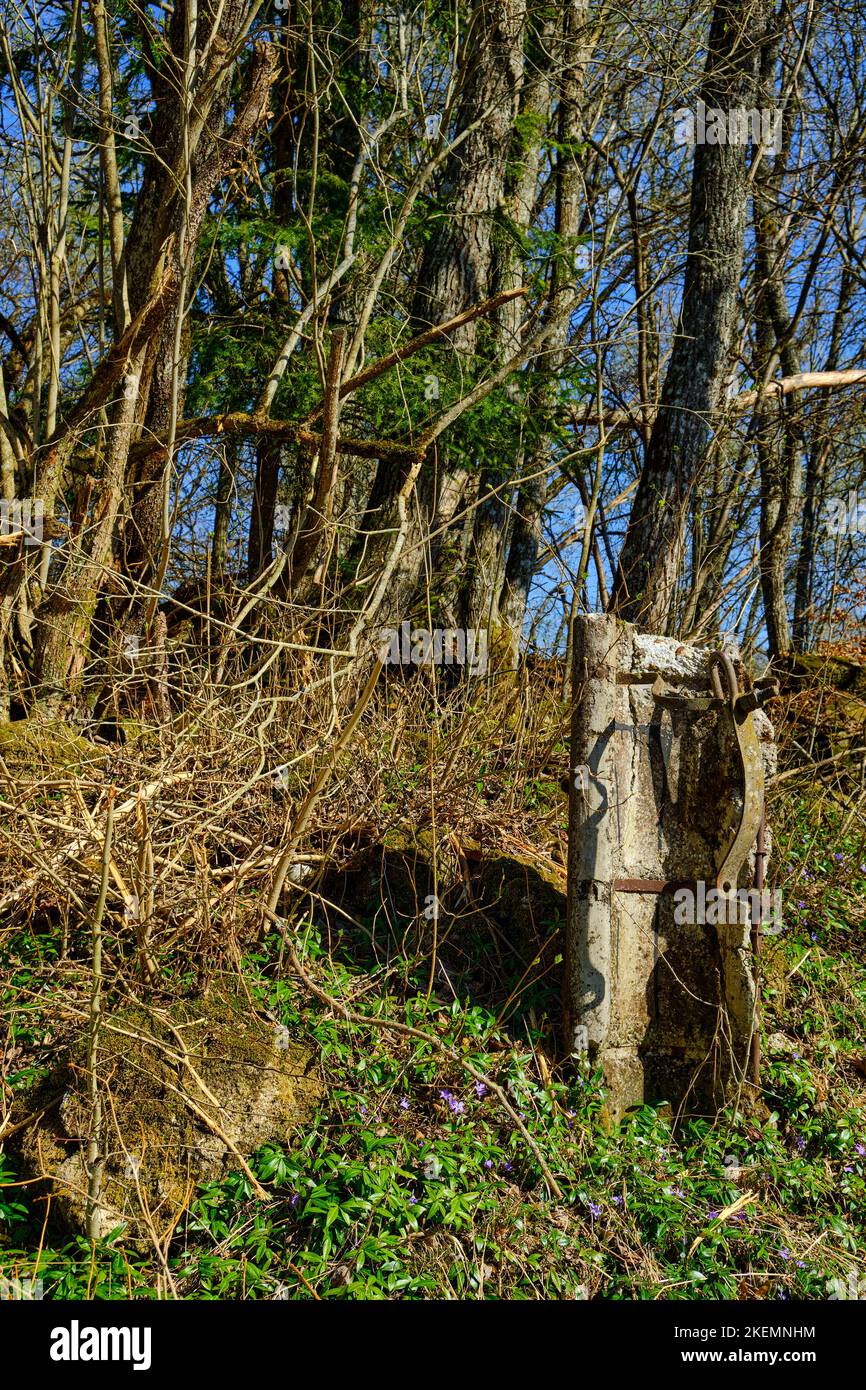 La désintégration des structures en béton et de la végétation, village déserté de Gruorn, ancienne zone d'entraînement militaire de Münsingen, Allemagne. Banque D'Images