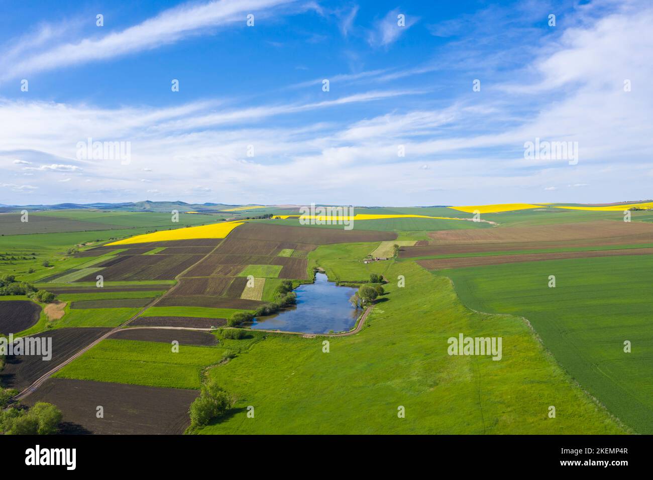 Vue aérienne des champs de printemps dans une zone rurale, des champs de canola et de céréales par le dessus Banque D'Images