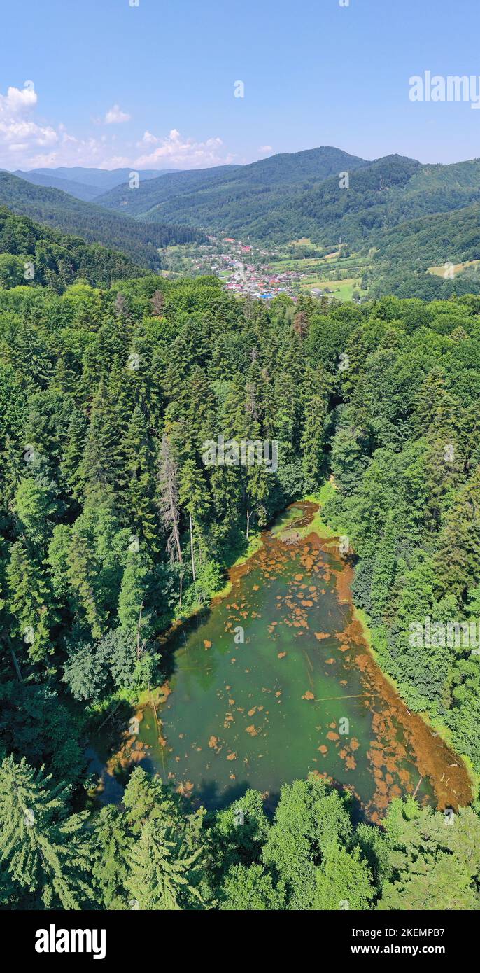 Vue aérienne de l'étang de la forêt et de la vallée de la montagne, paysage roumain des Carpates Banque D'Images