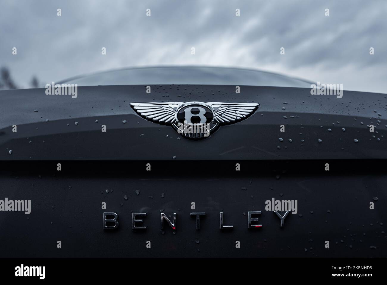 Logo Bentley Flying B sur la voiture Banque D'Images