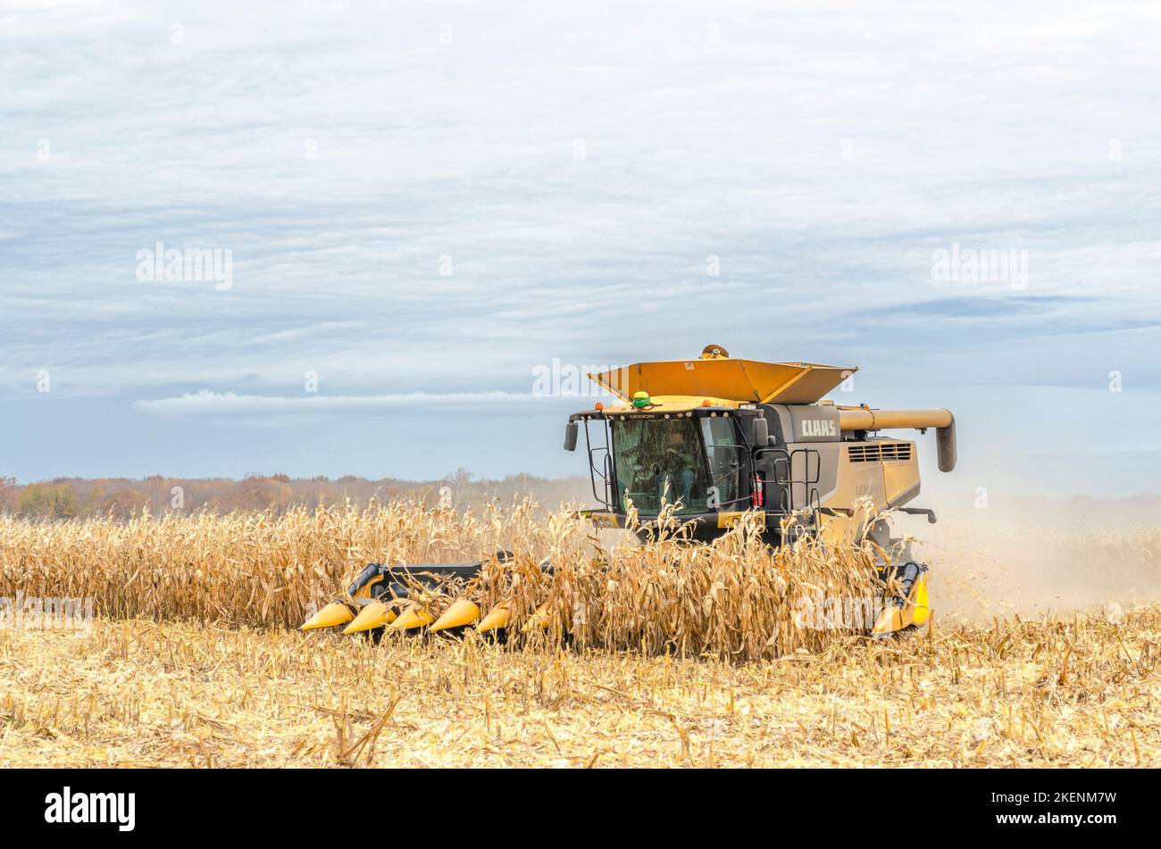 Récolte du maïs. Moissonneuse-batteuse Claas Lexion 740. Livingston Comté. Geneseo, New York Banque D'Images