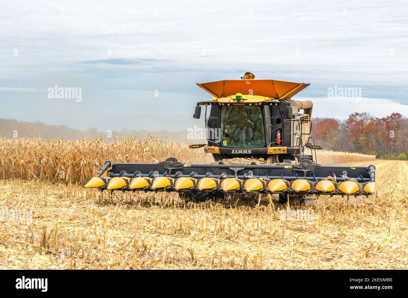 Récolte du maïs. Moissonneuse-batteuse Claas Lexion 740. Livingston Comté. Geneseo, New York Banque D'Images