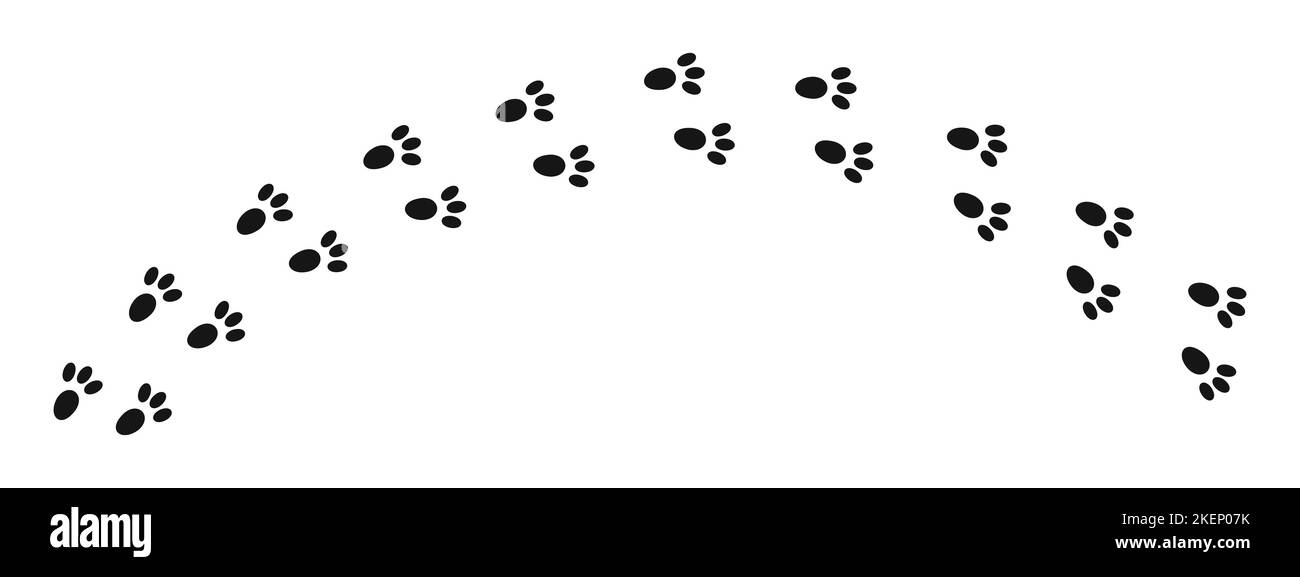 Empreintes de lapin humides ou de boue. Tampons de silhouettes de paw de lapin. Trace des étapes de course ou de marche du lièvre isolé sur fond blanc. Illustration graphique vectorielle. Illustration de Vecteur