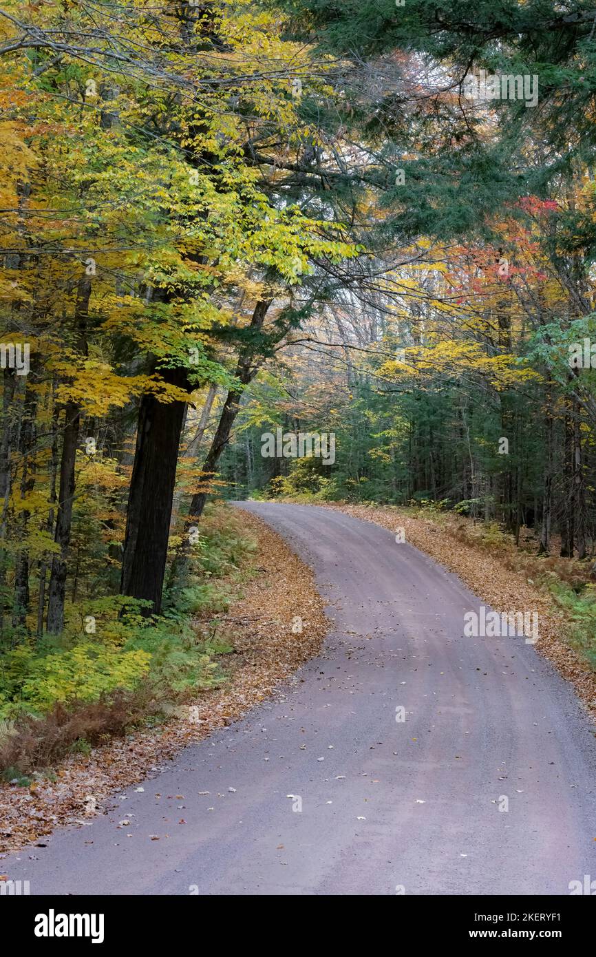 Les routes de service forestier de la forêt nationale de Chequamegon-Nicolet dans le nord du Wisconsin prennent vie avec de la couleur fin septembre début octobre. Banque D'Images