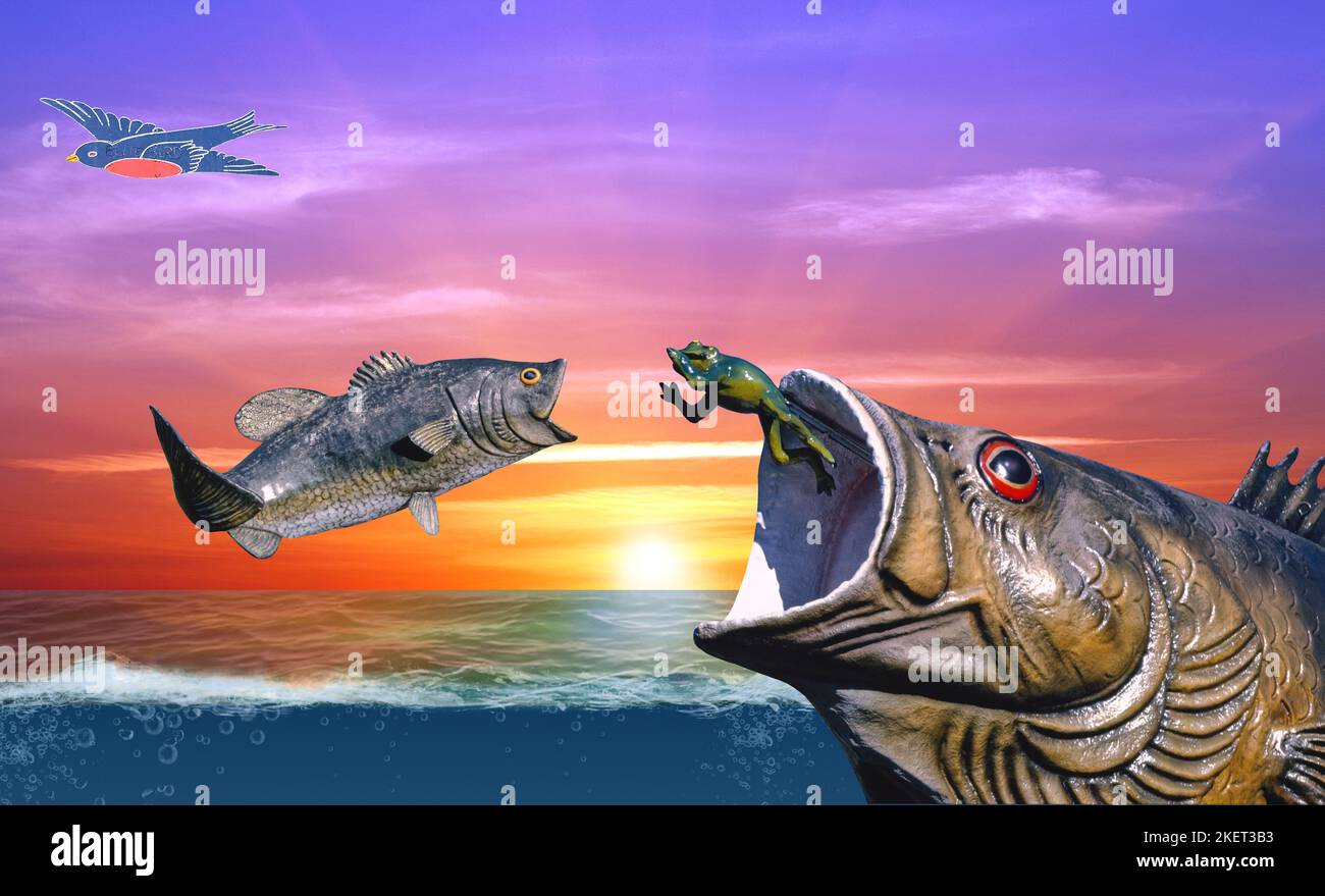 Gros poissons mangez peu de poisson mais ce que font les petits poissons mangezabracadabra. À