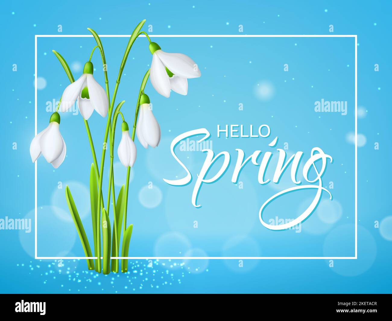 Fond de source de fleurs de neige. Mars fleurs blanches réaliste couverture vectorielle ou papier peint, jardin plante arrière-plan. Fête des mères bannière de vacances de printemps, toile de fond avec de douces fleurs de neige Illustration de Vecteur