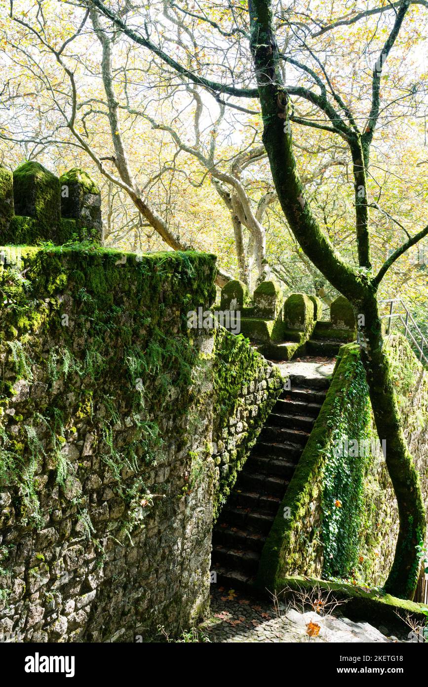 Les murs fortifiés et les tourelles du château mauresque des Maures datant du 10th siècle (Castelo dos Mouros) au-dessus de Sintra, au Portugal. Banque D'Images