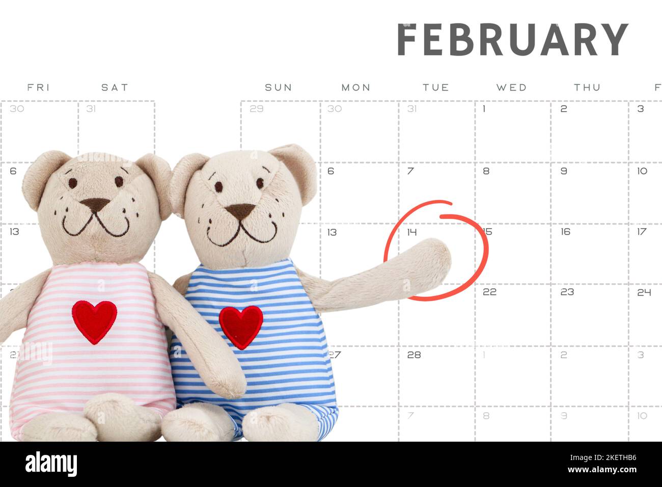 Son ours en peluche et ses ours en peluche, couple, ours en peluche mâle pointant vers le 14th février (Saint-Valentin) encerclés sur le calendrier en arrière-plan. Saint Valentin et R Banque D'Images