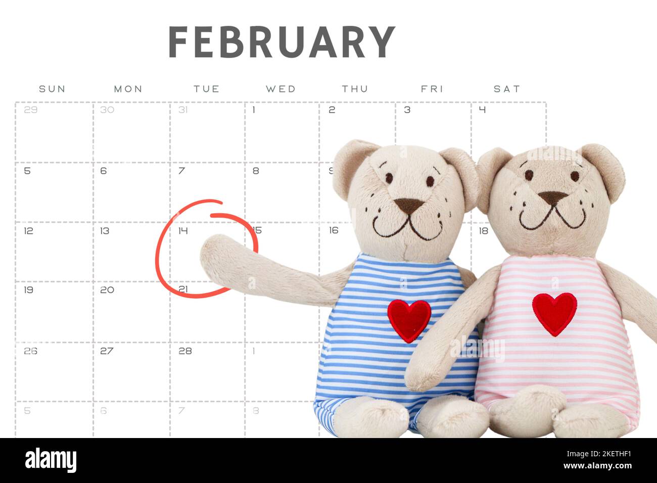 Le concept de la Saint-Valentin et de la romance, son et ses ours en peluche, ours en peluche mâle pointant vers le 14th février (la Saint-Valentin) encerclés sur le calendrier Banque D'Images