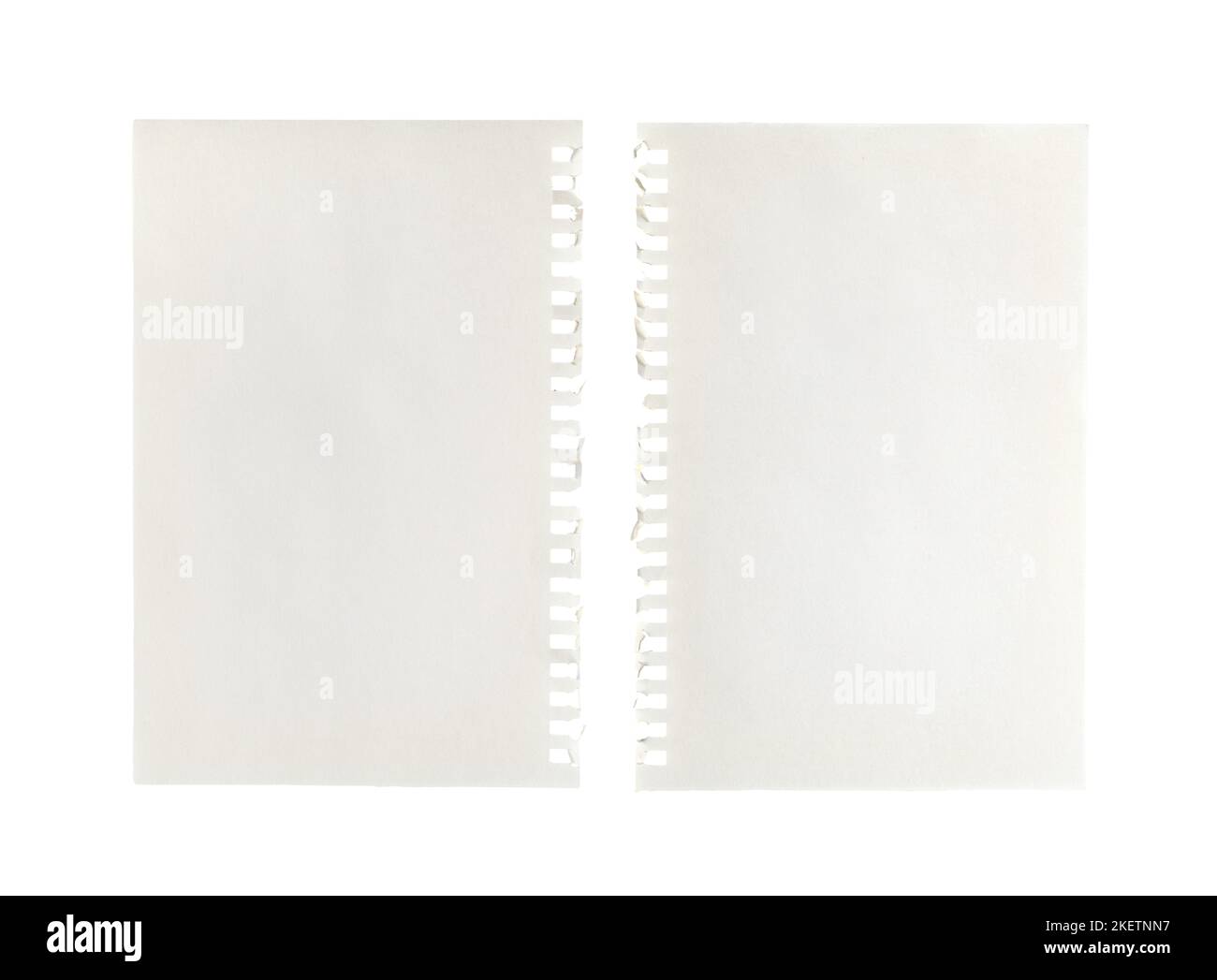 deux feuilles de papier vierges avec perforation latérale sur une surface transparente Banque D'Images