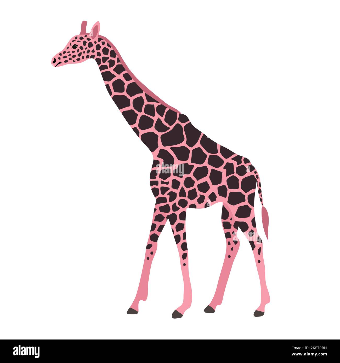 Girafe rose à dessin à la main, vectorielle, isolée sur fond blanc Illustration de Vecteur