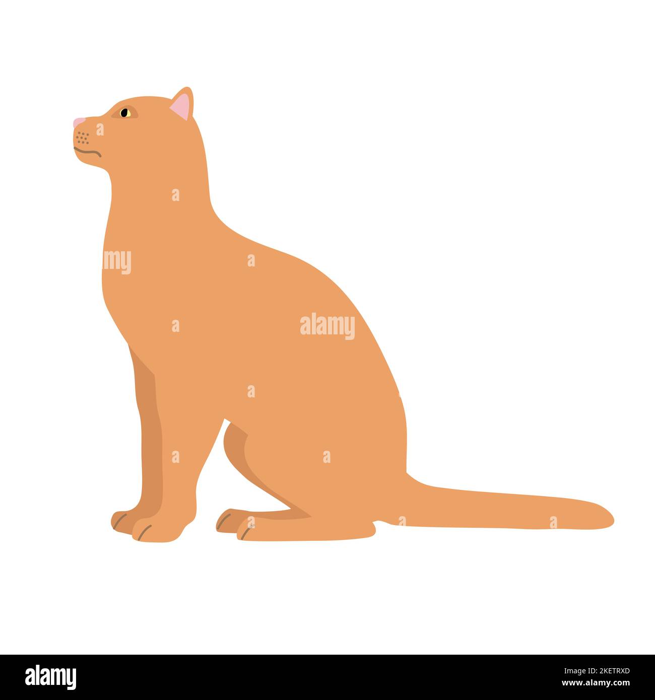 Chat plat vectoriel dessiné à la main Illustration de Vecteur