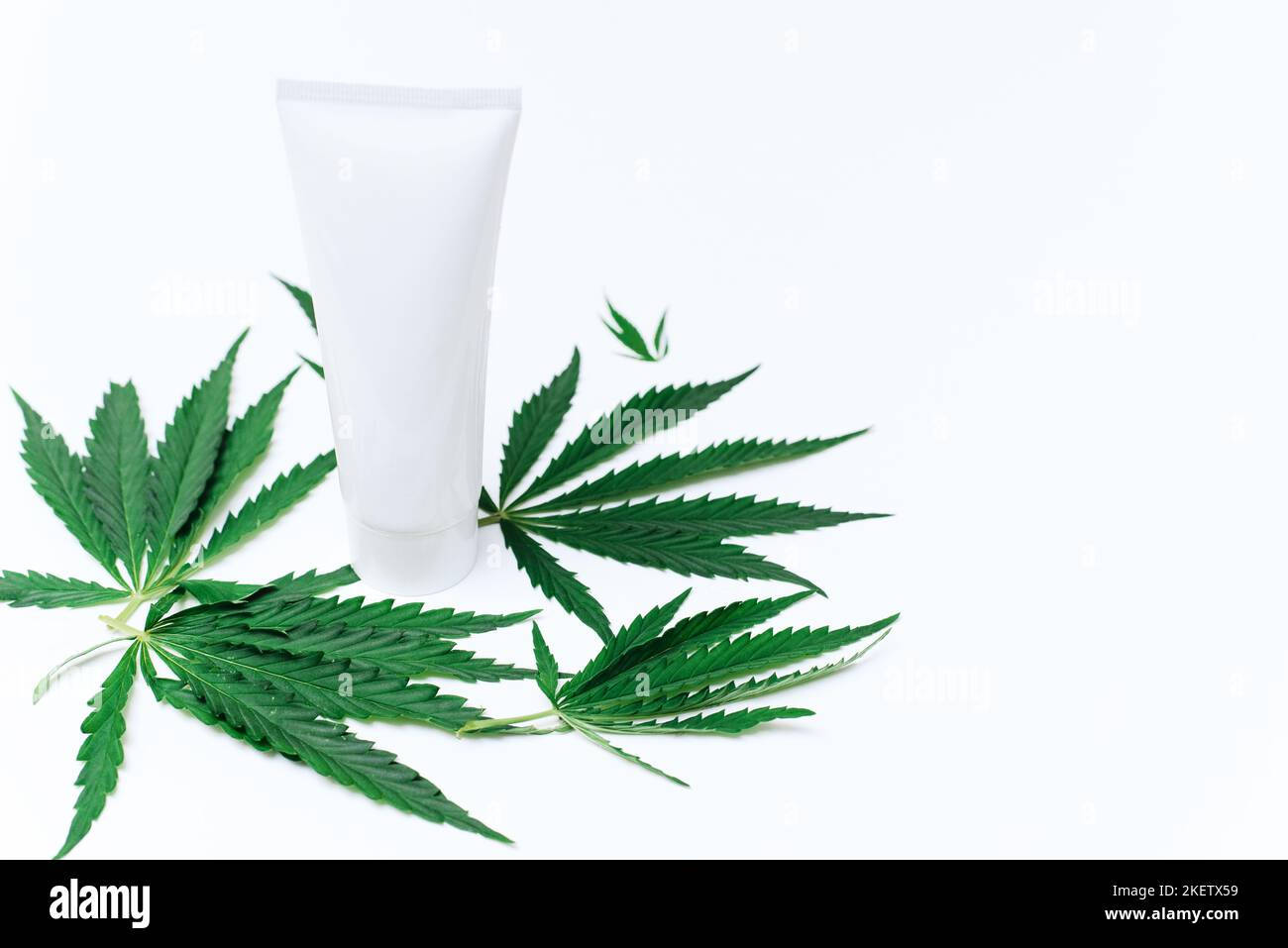 Tube avec crème hydratante à l'huile de chanvre sur fond blanc avec espace de copie et maquette. Cannabis dans la production de cosmétiques pour les soins de la peau. Banque D'Images