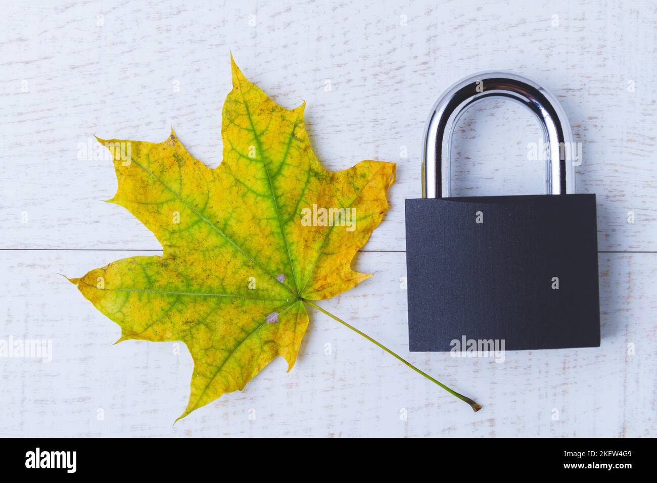 Interdictions d'automne. Fermeture de la saison d'automne. Feuillage d'automne jaune et château articulé sur fond blanc. Banque D'Images