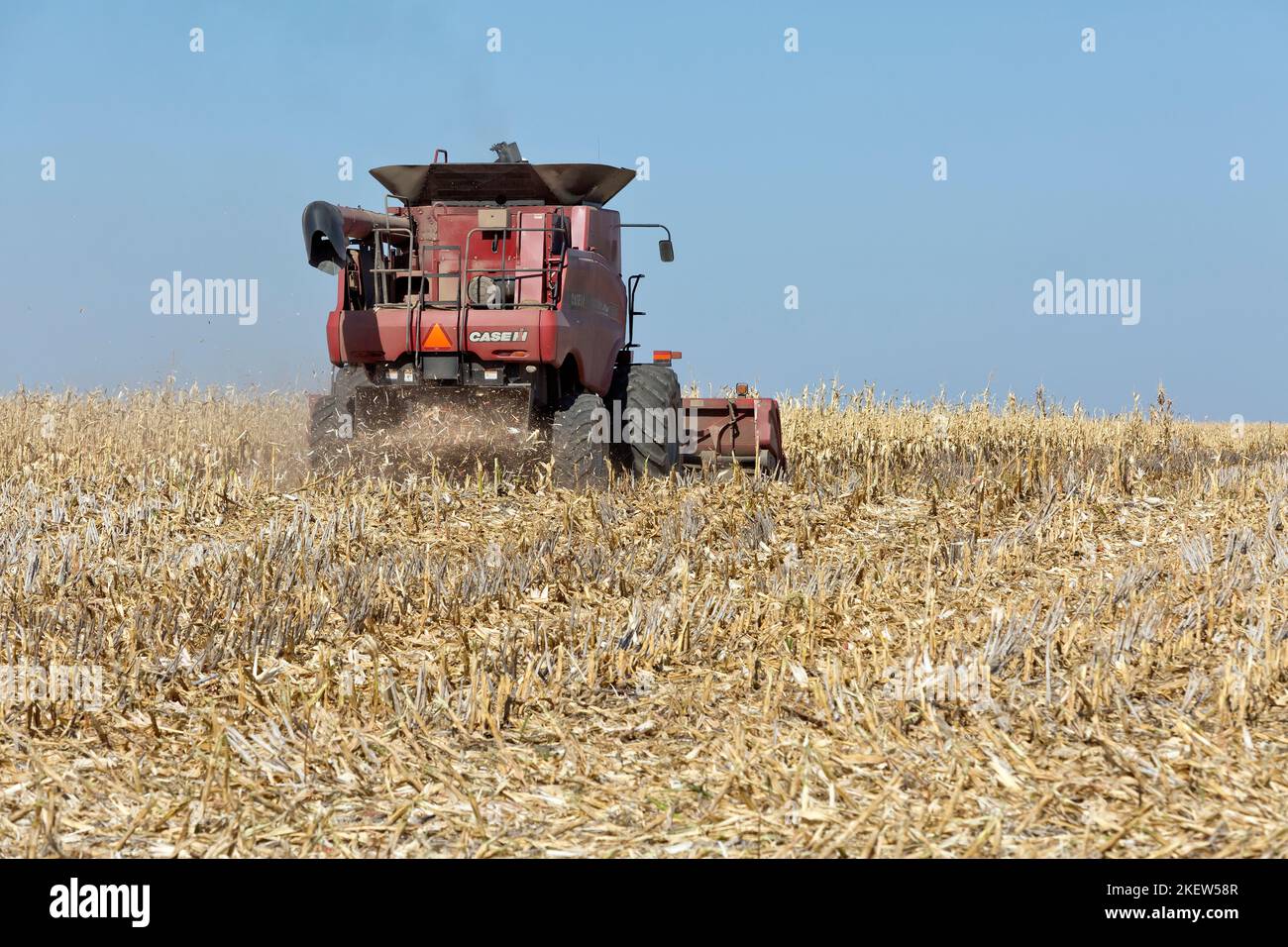 Moissonneuse-batteuse case IH 7088, agriculteur récoltant du maïs mûr « Zea mays », barre de coupe à grain, Kansas. Banque D'Images
