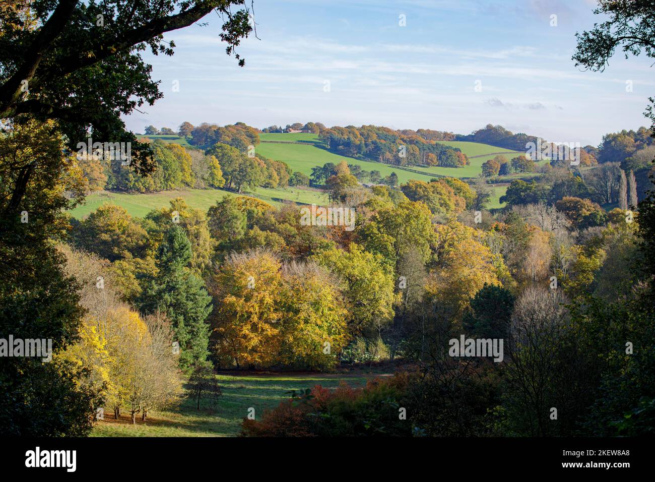 Vue sur le fond, les terres agricoles et les arbres avec feuillage d'automne depuis l'arboretum Winkworth près de Godalming, Surrey, au sud-est de l'Angleterre Banque D'Images