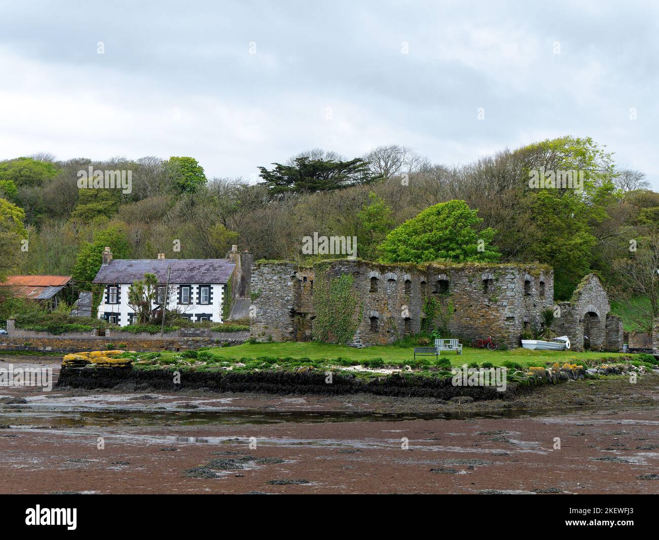 Les ruines de l'Arundel stockent du grain sur la rive de la baie Clonakilty au printemps. Un vieux bâtiment en pierre en Irlande, en Europe. Le monu architectural historique Banque D'Images