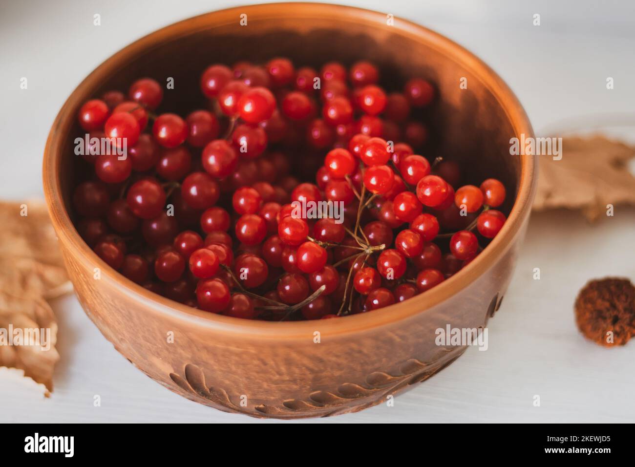 Viburnum mûr dans un bol en argile. Beries d'automne. Récolte d'automne. Antioxydant naturel. Remède naturel contre la grippe. Gros plan sur les baies de viburnum crues. La récolte d'automne. Banque D'Images