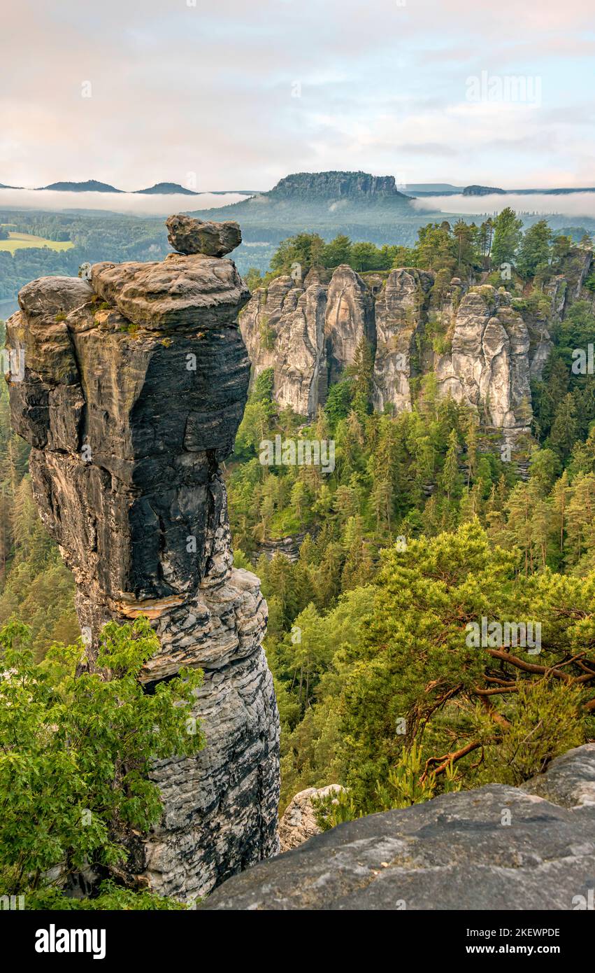 Vue sur le rocher de Wehlnadel dans le parc national de la Suisse saxonne, Saxe, Allemagne Banque D'Images