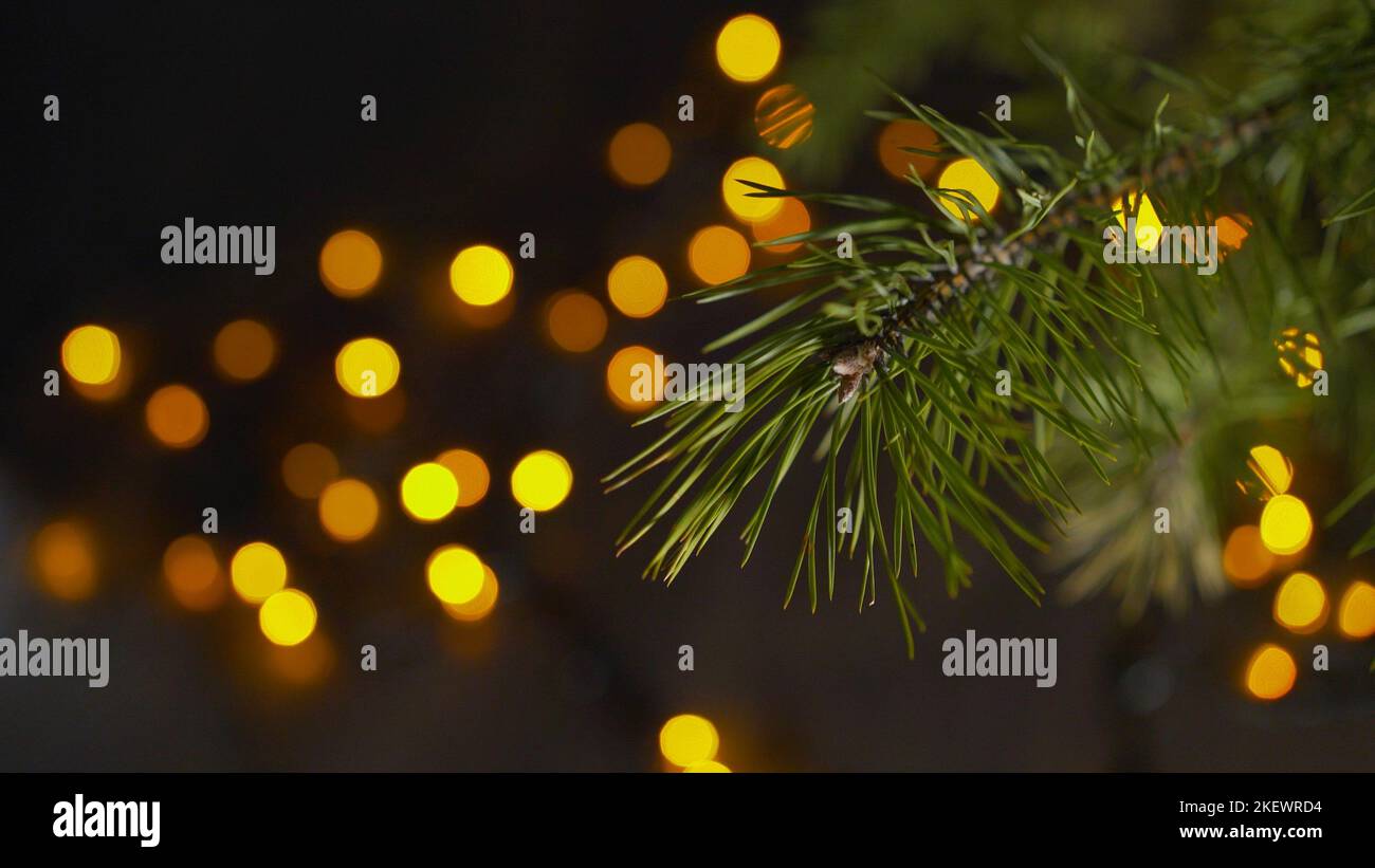 Branches d'un arbre de Noël au premier plan. Lumières jaunes luminescentes provenant d'ampoules et de guirlandes sur un arrière-plan flou. Nouvelle année atmosphère et flou Banque D'Images