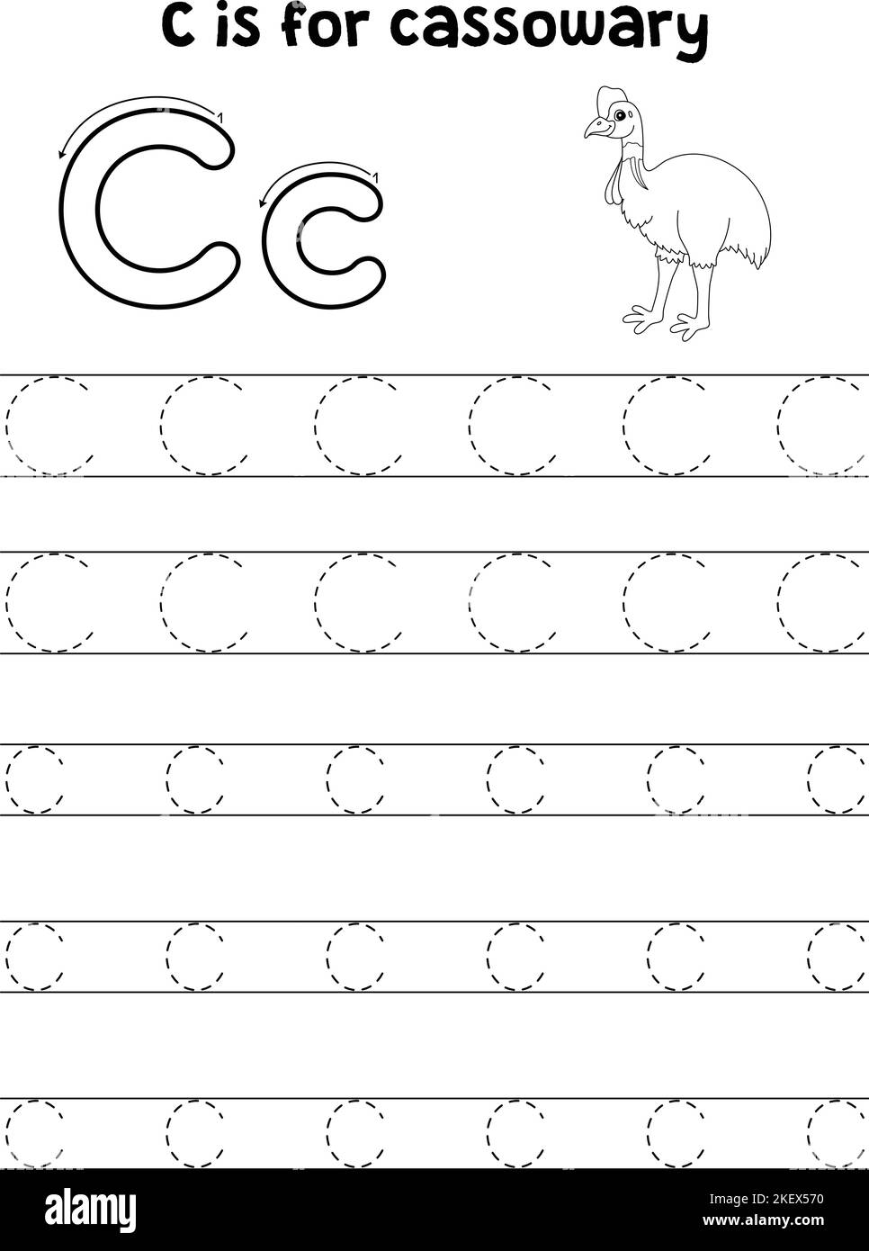 Cassowary Animal Tracing lettre ABC coloriage C Illustration de Vecteur