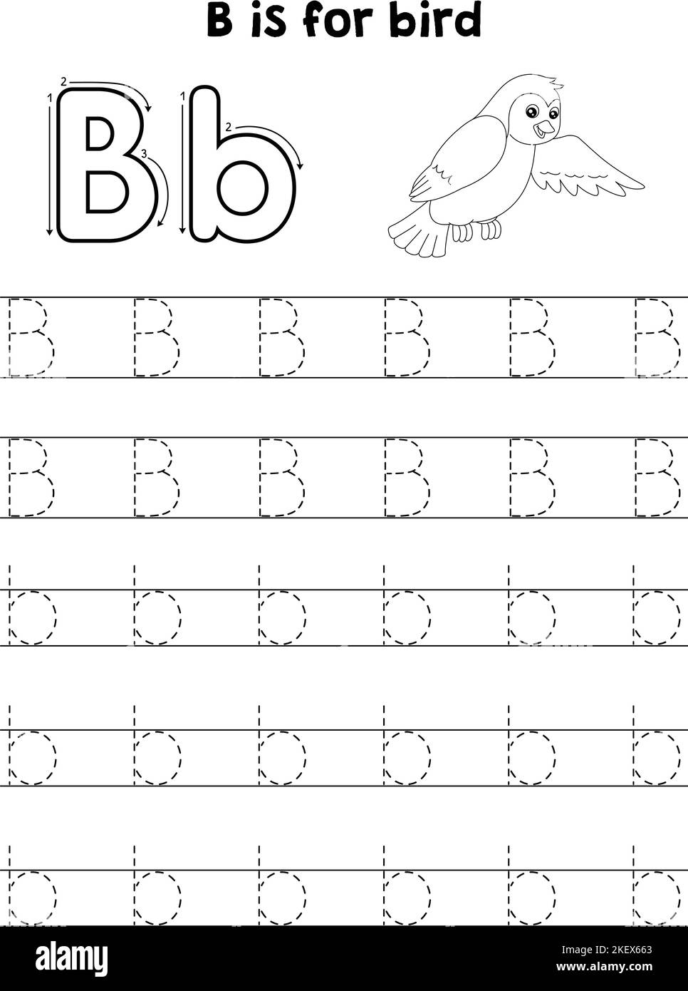 Oiseau animal Tracing lettre ABC coloriage page B Illustration de Vecteur