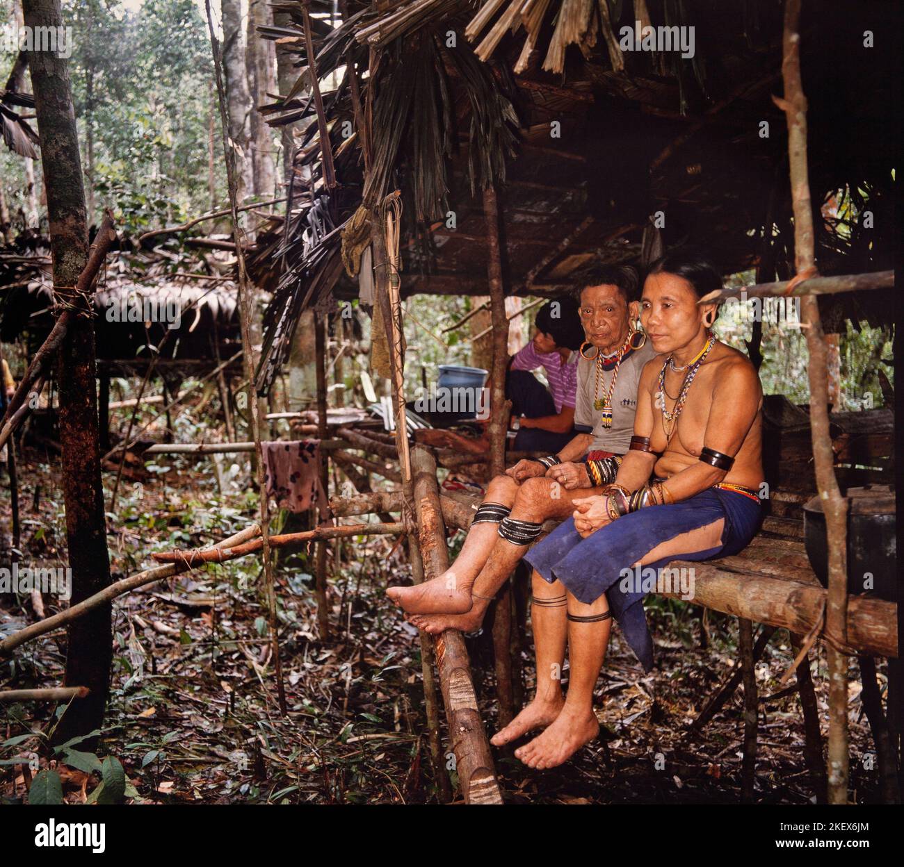 penan-of-sarawak-banque-de-photographies-et-d-images-haute-r-solution