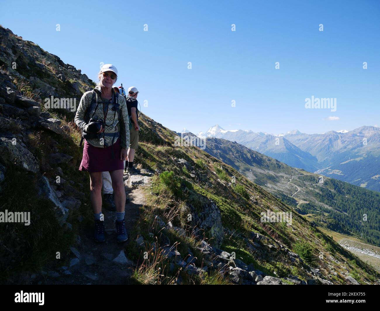 Images de paysages et fleurs sauvages de montagne prises en marchant sur la haute route des Walker dans les Alpes suisses Banque D'Images