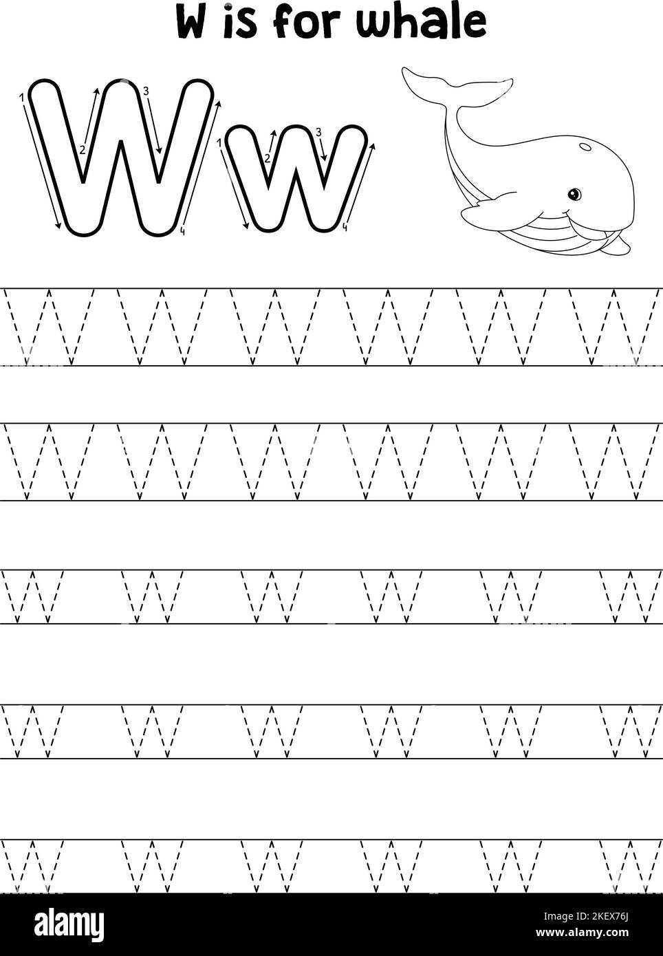 Whale Animal Tracing lettre ABC coloriage page W Illustration de Vecteur