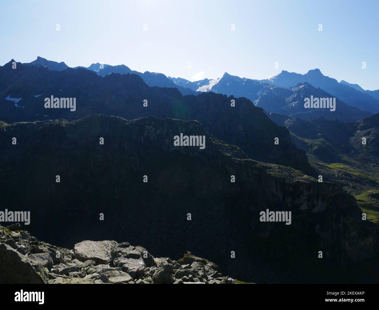 Fleurs sauvages et images de paysages des montagnes du Valais suisse. Fleurs alpines capturées en pleine floraison estivale le long de la route des randonneurs haute Banque D'Images