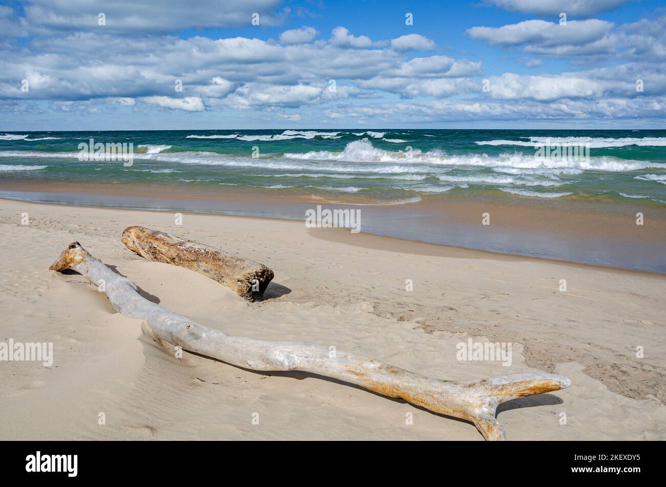 La rive du lac Michigan au parc national d'Indiana Dunes a souvent du bois flotté sur la rive, le parc national d'Indiana Dunes, comté de porter, DANS Banque D'Images