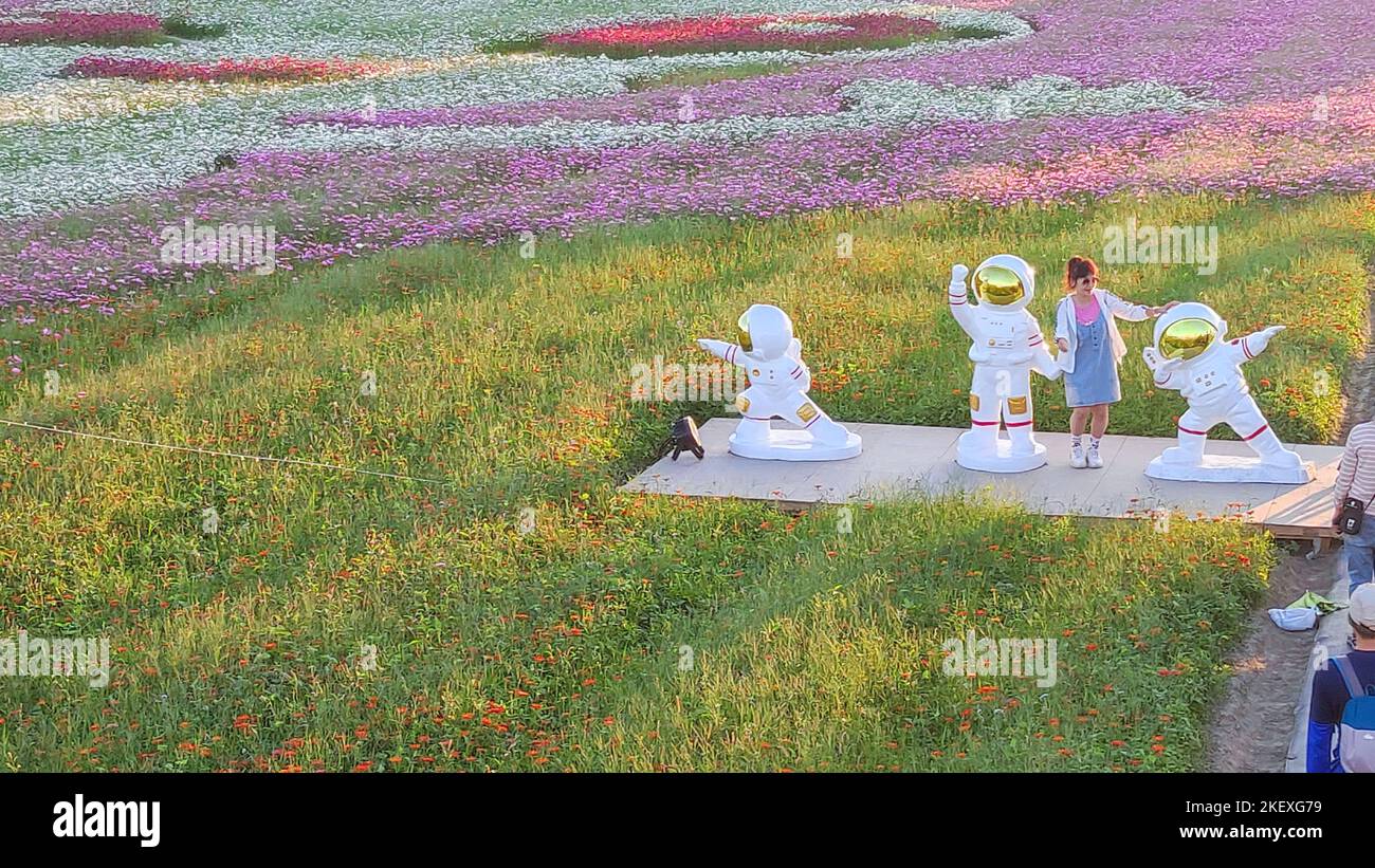 Daxi, Taoyuan City - 14 novembre 2022 : Daxi Moonbrow Flower Festival, Taoyuan City, Taïwan Banque D'Images