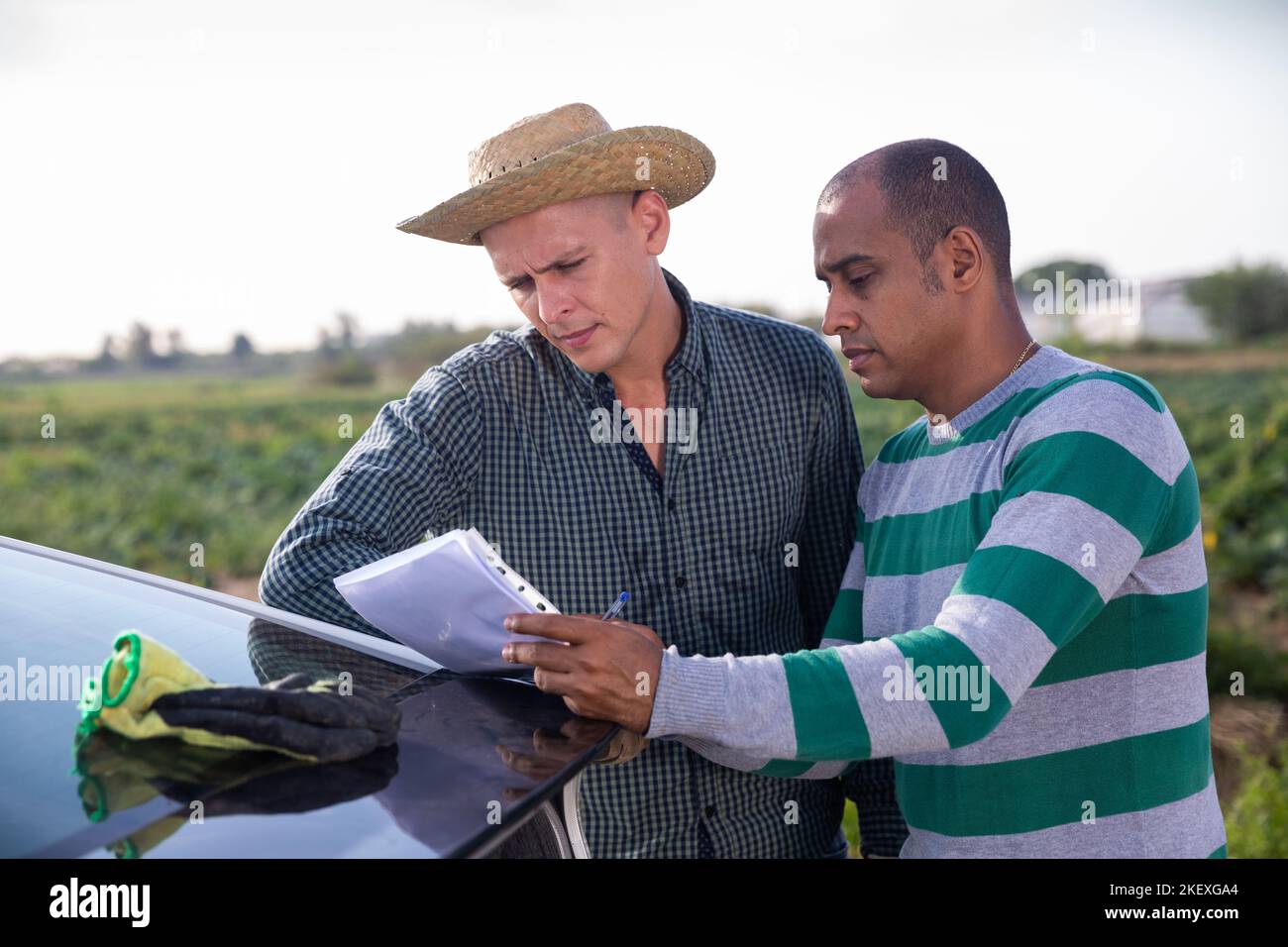L'agriculteur signe les documents pour la livraison des marchandises au champ agricole Banque D'Images