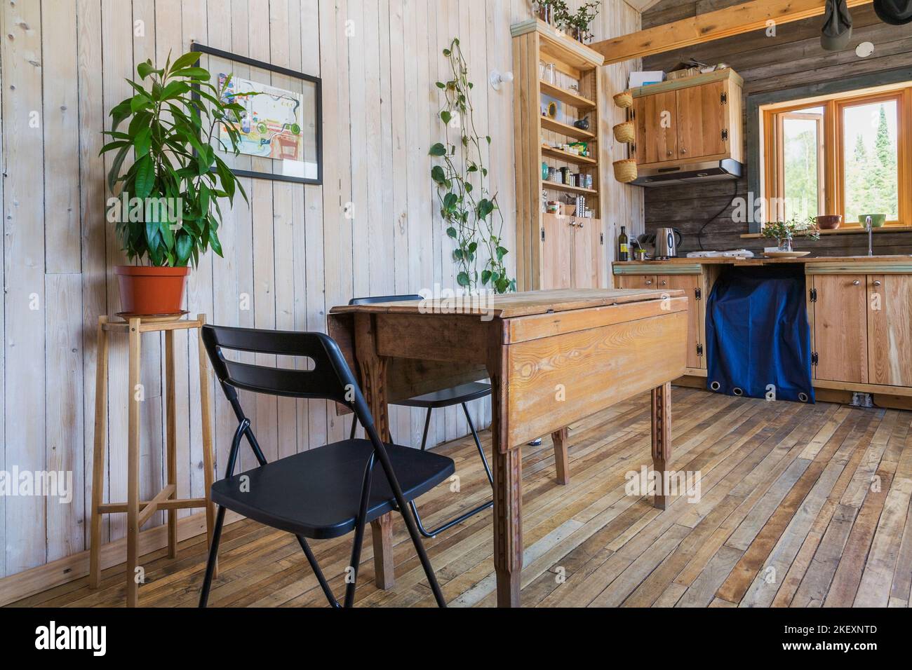 Table à manger en bois avec chaises pliantes, garde-manger en bois d'érable vieux de 100 ans et armoires dans le coin cuisine à l'intérieur rustique mini maison de 11,5 x 32 pieds. Banque D'Images