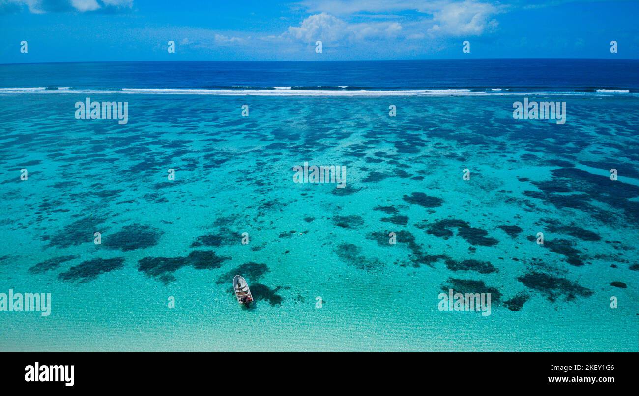 Nouvelle fraie de corail Banque D'Images