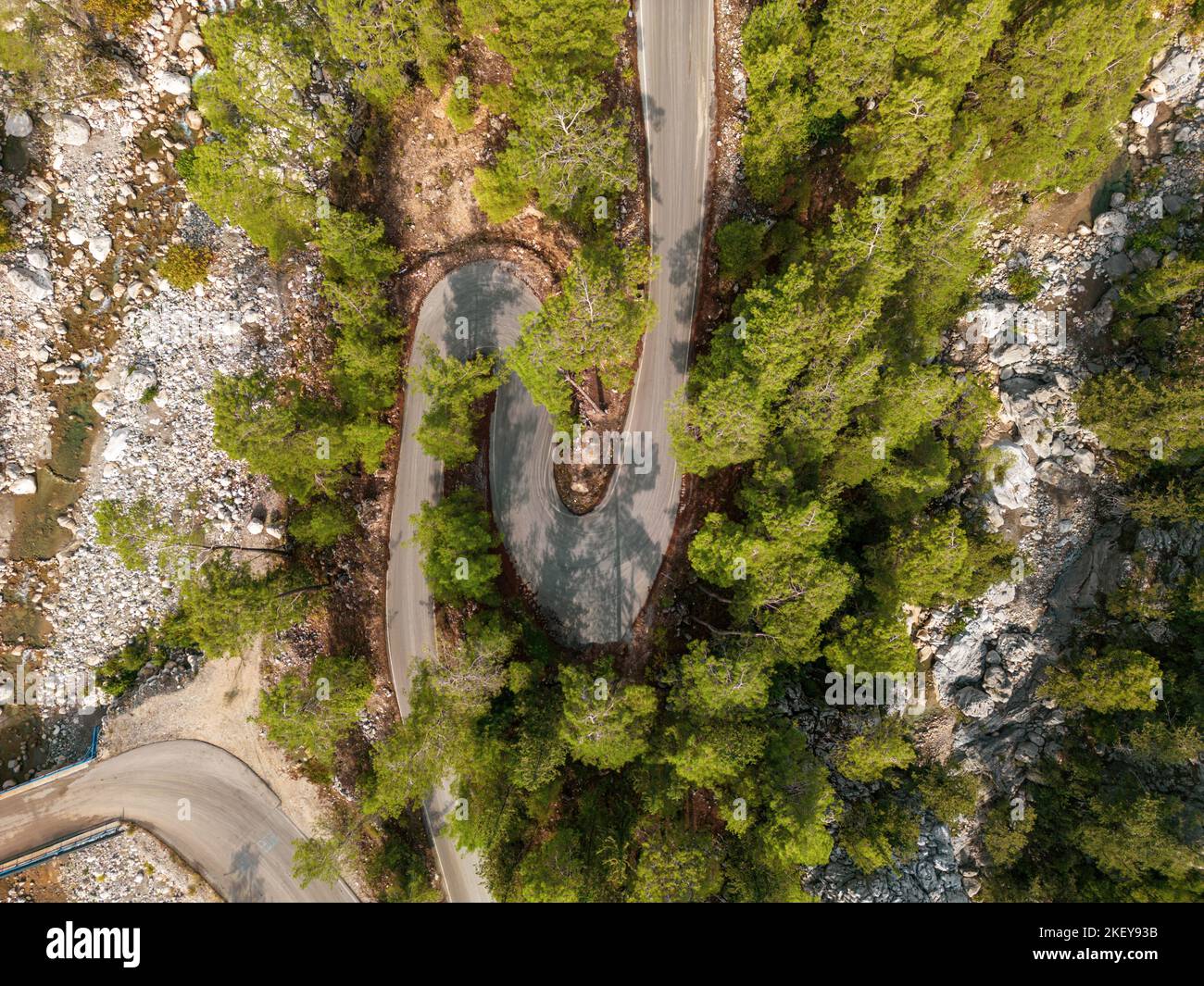 Vue de haut en bas de la route à travers la forêt au lever du soleil Banque D'Images