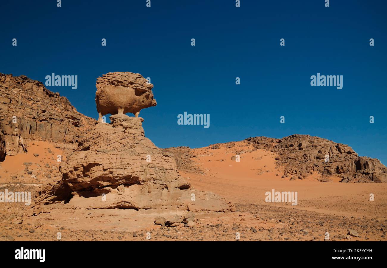 Résumé Rock formation aka pig ou hedgehog,Tamezguida, Tassili nAjjer parc national, l'Algérie Banque D'Images