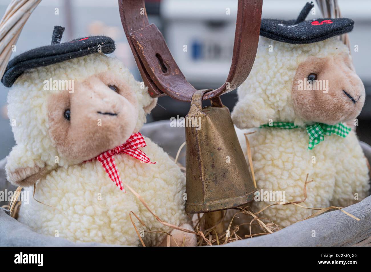 Deux animaux de compagnie de mouton portant la casquette française typique 'le béret' Banque D'Images