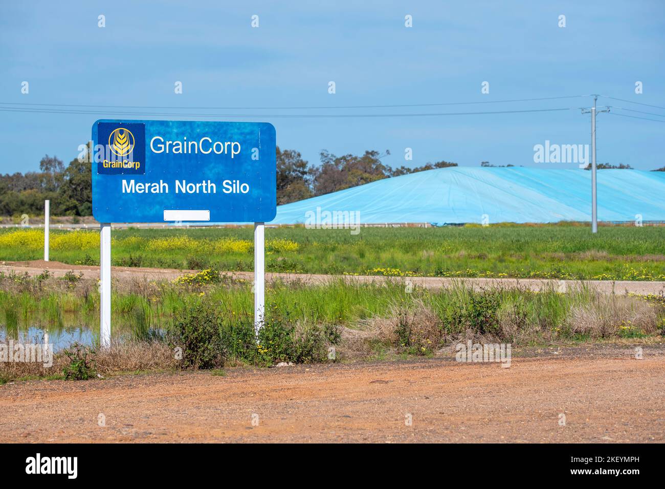 Un bunker de blé couvert à Merah North Silo sur la route de Kamilaroi entre Wee Waa et Burren Junction en Nouvelle-Galles du Sud, en Australie, exploité par Graincorp Banque D'Images