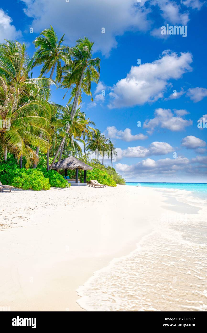 Île Maldives plage. Paysage tropical de paysage d'été, palmiers de sable blanc. Voyage de luxe destination de vacances. Vue exotique verticale sur la plage Banque D'Images