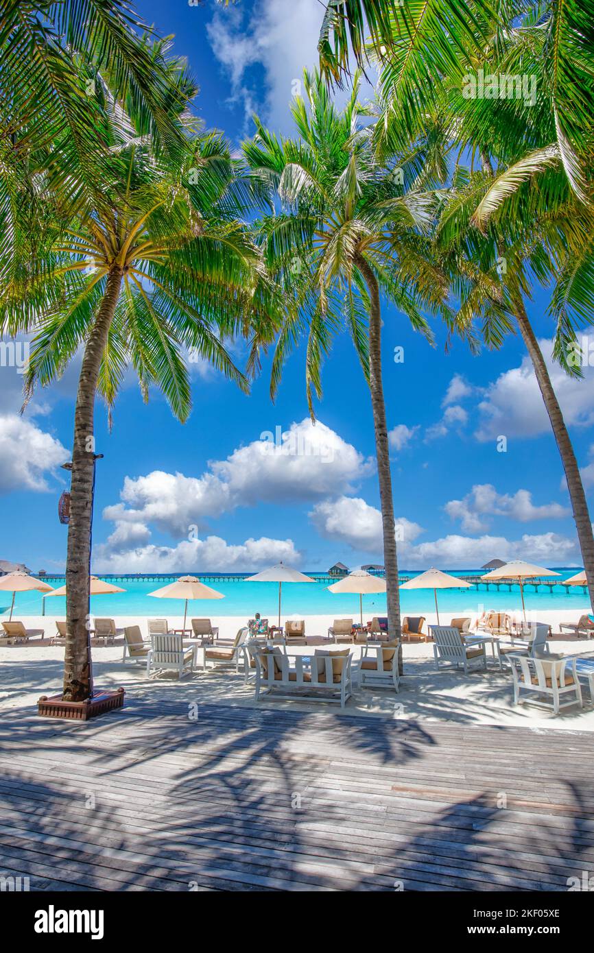 Belle plage tropicale avec sable blanc et chaises longues sur la terrasse fond d'océan turquoise et ciel bleu avec des nuages. Palmiers pittoresques Banque D'Images